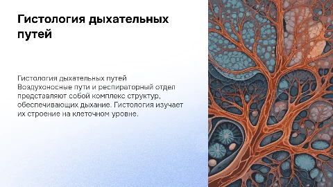 Гистология воздухоносных путей и респираторного отдела