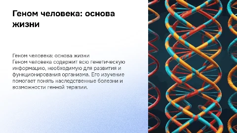 гином человека