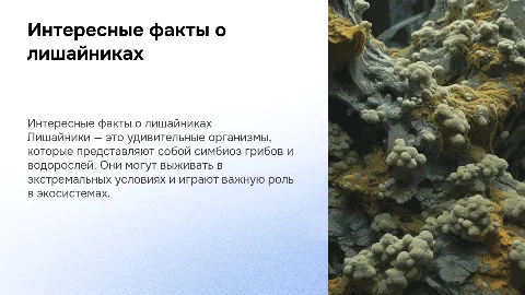 Интересные факты про лишайники