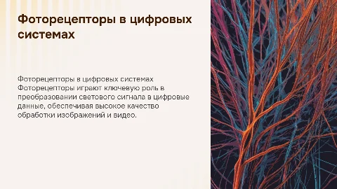 Фоторецепторы в системах обработки цифрового контента
