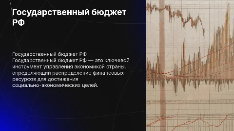 "Государственный бюджет РФ"