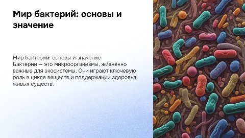 бактерии. 7 класс