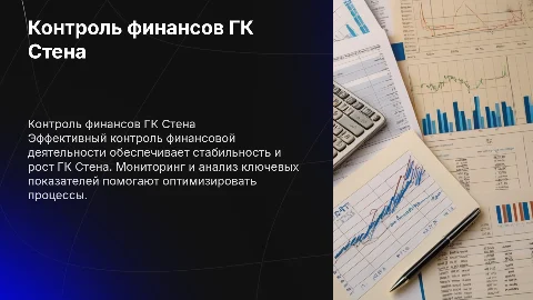 Контроль финансовой деятельности ГК Стена
