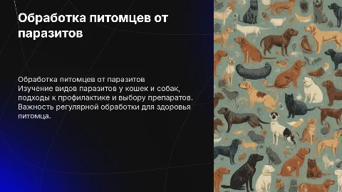 Обработка питомцев от паразитов: препараты и профилактика