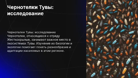 Чернотелки Тувы.Отряд Жесткокрылые