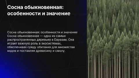 Сосна обыкновенная