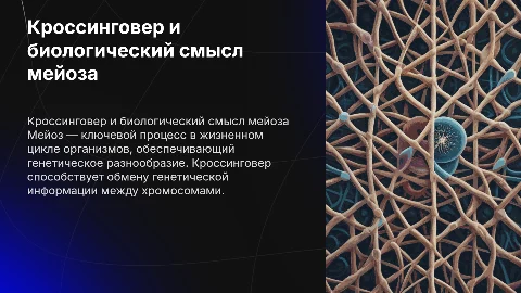 Кроссинговер и мейоз: биологический смысл и эффекты