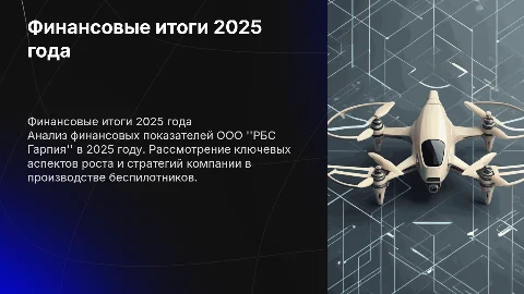 Финансовые показатели компании РБС Гарпия за 2025 год