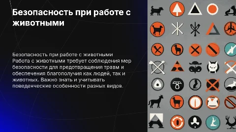 Безопасность при работе с животными