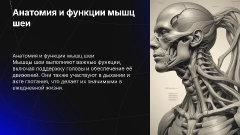 мышцы шеи