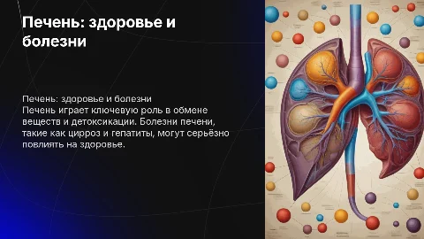Печень и болезни связанные с ней