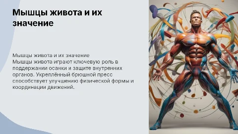мышцы живота, брюшной пресс и его значение