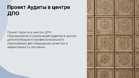 Проект Аудиты в центре ДПО. План и реализация