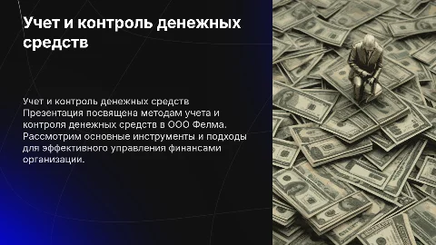 Учет и контроль денежных средств в ООО Фелма