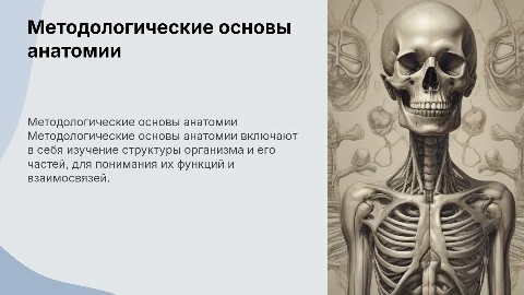 Методологи­ческие основы анатомии