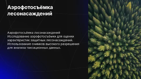 Аэрофотосъёмка защитных лесонасаждений: таксационные характеристики