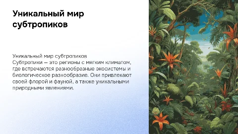 Субтропики