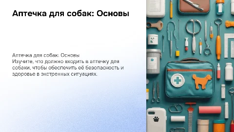 Аптечка для собак