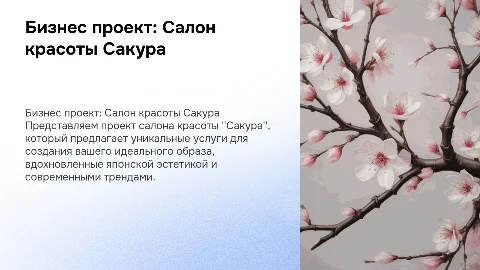 Бизнес проект по салону красоты, который называется Сакура