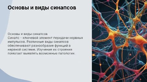 Синапс: основные понятия и виды передачи нервного импульса