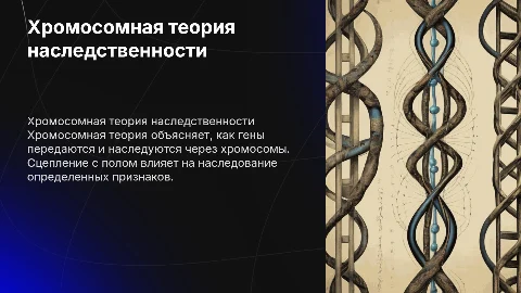 Хромосомная теория наследственности и сцепленное наследование