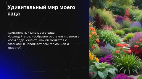мой сад