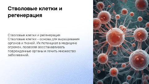 СТВОЛОВЫЕ КЛЕТКИ. ВЫРАЩИВАНИЕ ОРГАНОВ И ТКАНЕЙ