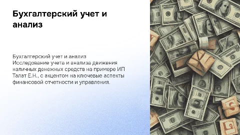 Бухгалтерский учет и анализ наличных средств ИП Талат Е.Н.