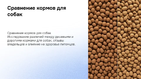 Сравнение дешевых и дорогих кормов для собак: отзывы и советы
