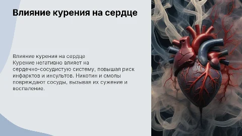 заболевания сердечно-сосудистой системы от курения