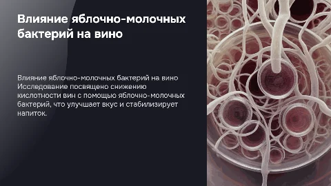 Исследование влияния яблочно-молочных бактерий на вино