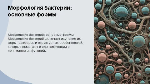 Морфология бактерий