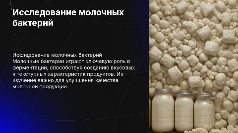 Исследование молочных бактерий и их роль в ферментации