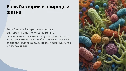 роль бактерий в природе и жизни человека