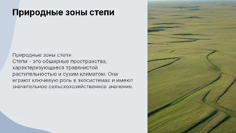 природные зоны степи