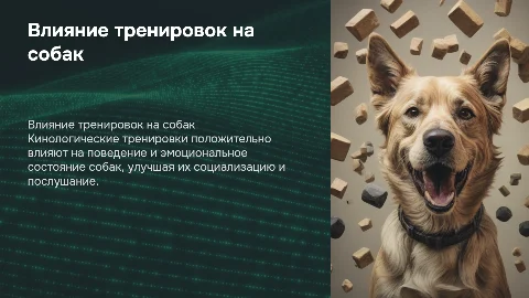 Влияние кинологических тренировок на поведение собак
