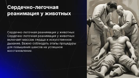 Сердечно-легочная реанимация у животных: все этапы и техники