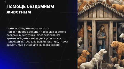 Организация помощи бездомным животным в приюте "Доброе сердце"