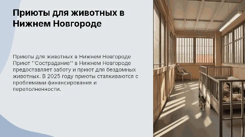 Приюты для животных в Нижнем Новгороде: "Сострадание"
