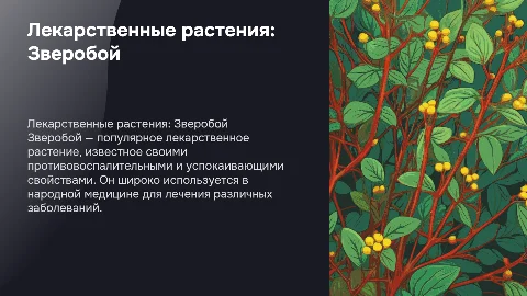 Лекарственные растения. Зверобой