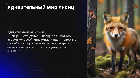 лисица