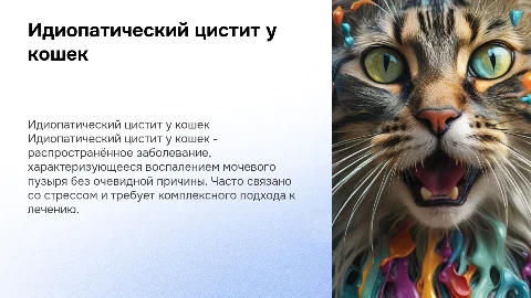 Идиопатический цистит кота