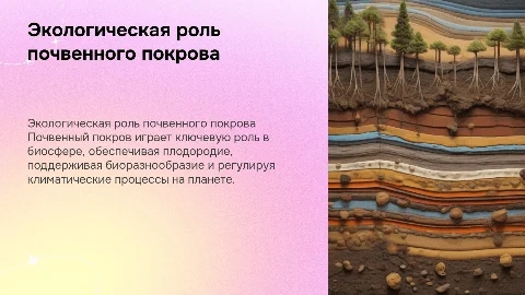 Экологическая роль почвенного покрова
