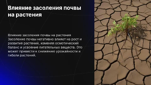 реакция растений на засоление почвы