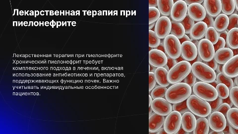 лекарственная терапия при хроническом пиелонефрите