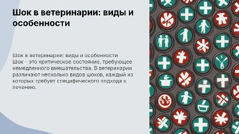Шок. Виды шоков. Ветеринария
