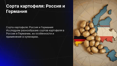 Презентация о сортах картофеля в России и Германии