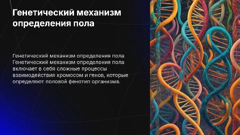 Генетический механизм определение пола
