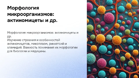 Морфология и строение актиномицетов и других микроорганизмов