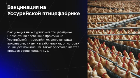 Презентация по практике на Уссурийской птицефабрике
